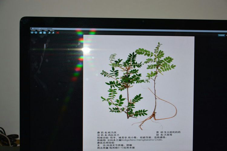 图片12.png