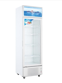 穗凌2门LG4-259LT 2门冰箱立式商用单温冷柜冷藏保鲜冰柜展示柜单门饮料冰柜啤酒冰箱