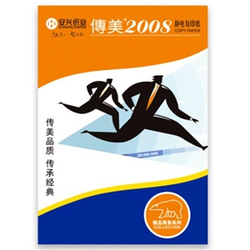 传美 2008A4 复印纸 打印纸 80g 500张/包 5包/箱
