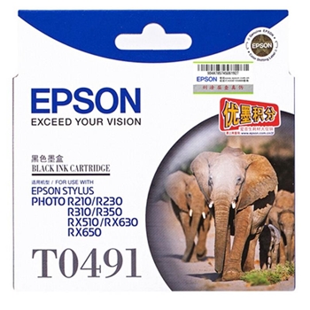 爱普生（Epson）T0491 黑色 打印机墨盒 适用于R210 R230 R310 RX510 RX650 可打印量630页