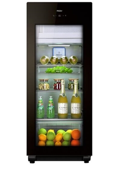 海尔（Haier） 157升家庭营养保鲜冰吧 离子杀菌茶叶饮料展示柜 小冰箱 DS0157DK