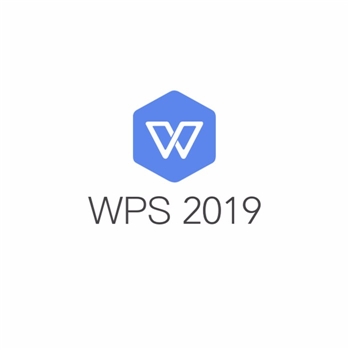 WPS   office  2019  政府授权版