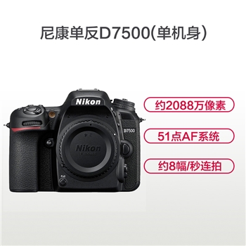 尼康 D7500 （配闪光灯）数码单反相机 约2088万像素  