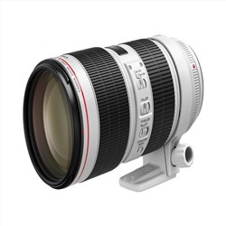 佳能镜头（Canon）EF 70-200mm f/2.8L IS III USM 单反镜头 大三元