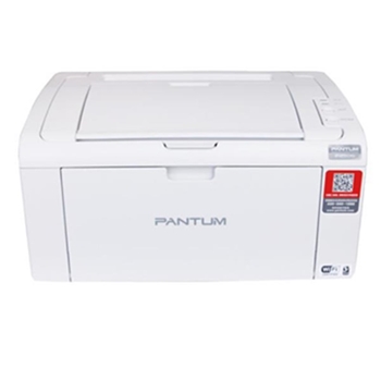 奔图（PANTUM）P2506 A4 黑白激光打印机