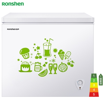 容声(Ronshen) 205升 冷藏冷冻转换冰柜 节能单温冰箱 家用商用二合一冷柜 BD/BC-205MB