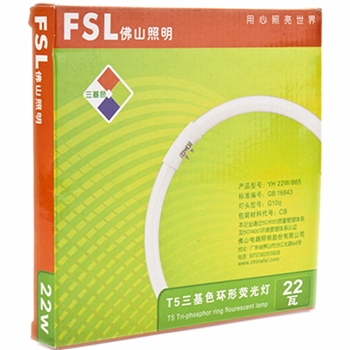 佛山照明（FSL）节能灯T5环形灯管22W荧光灯管 白光灯管
