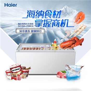 海尔（Haier）卧式冷冻冰柜 商用展示冷柜 冷藏冷冻雪柜 深冷速冻SC/SD-728CX