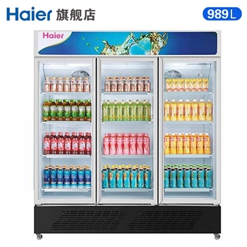 海尔（Haier）SC-650HL商用展示柜冷藏冰箱 保鲜柜冰箱 啤酒冷饮冷柜立式双门展示柜冰箱 玻璃门冰柜风冷无霜冰箱 SC-1050HL