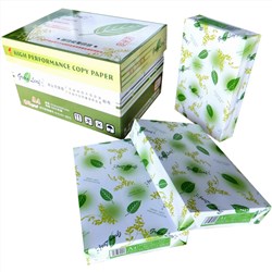 绿叶（GreenLeaf） A5 80g 500p 复印纸  绿白包装 20包/箱