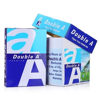达伯埃（DoubleA） A4 80g 复印纸/打印纸 500张/包 5包/箱 整箱价 白色