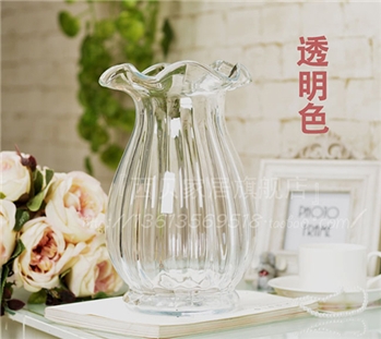 博洛克玻璃花瓶 欧式花器 台面客厅家居饰品 干花富贵竹花瓶 包邮